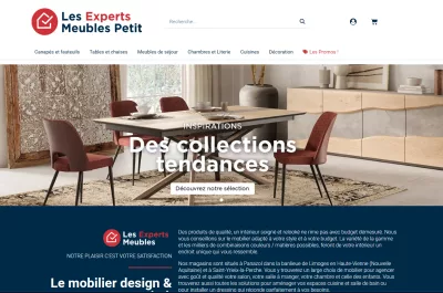 Les Experts Meubles Petit